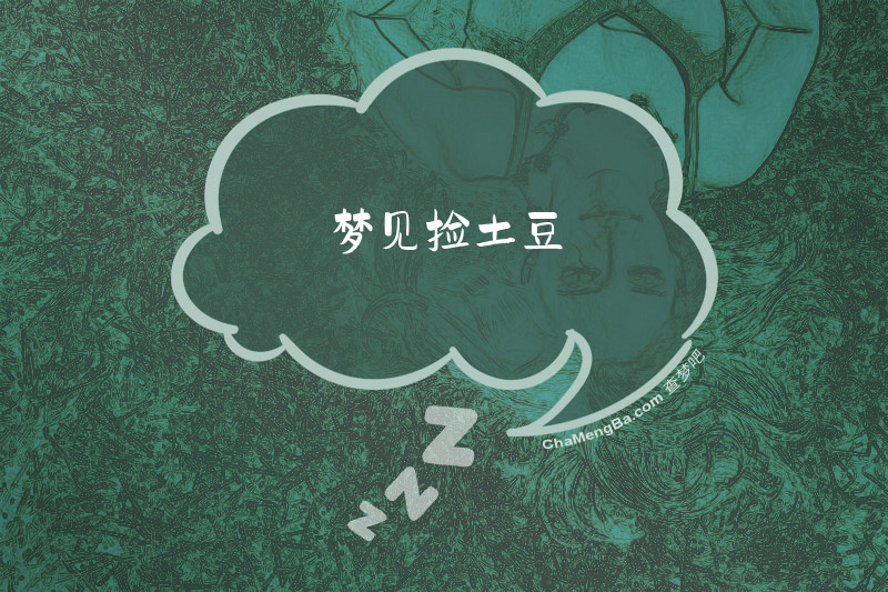 梦见捡土豆
