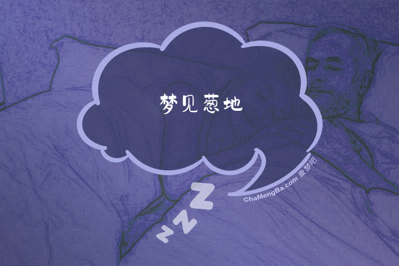 梦见葱地