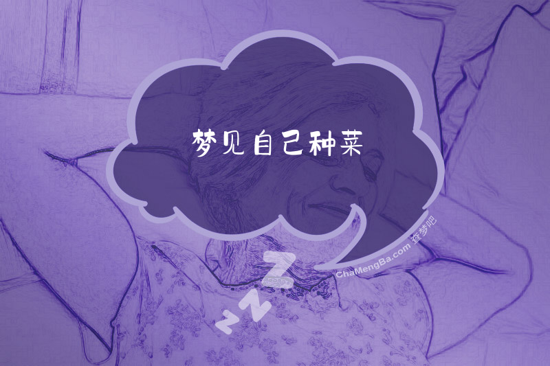 梦见自己种菜