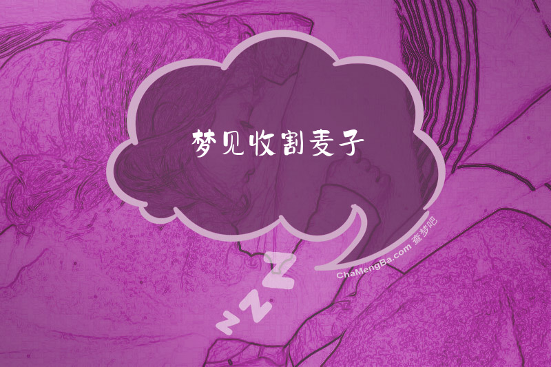 梦见收割麦子