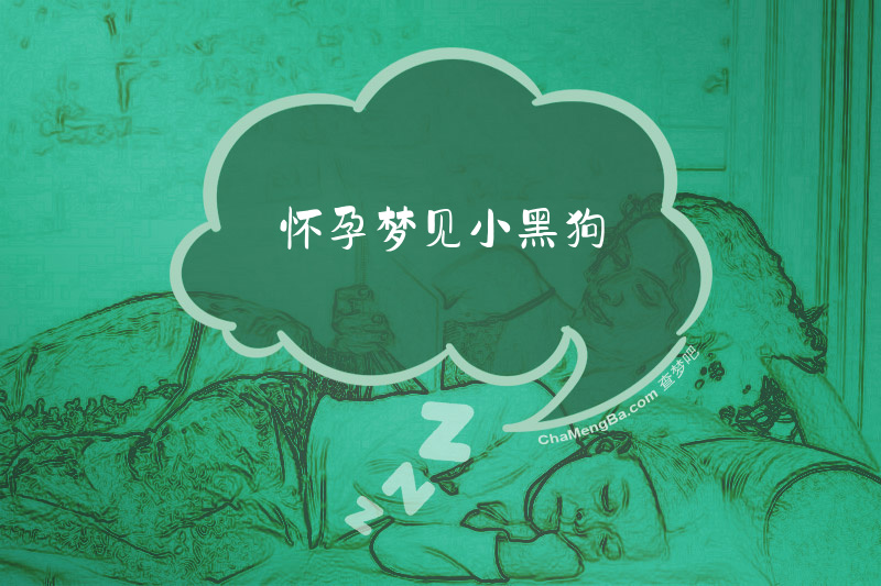 怀孕梦见小黑狗