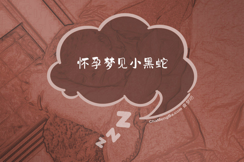 怀孕梦见小黑蛇