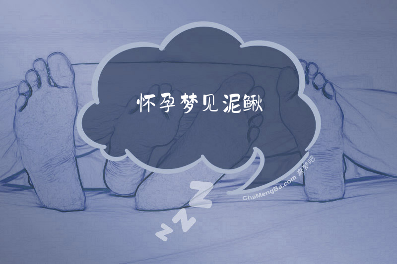 怀孕梦见泥鳅