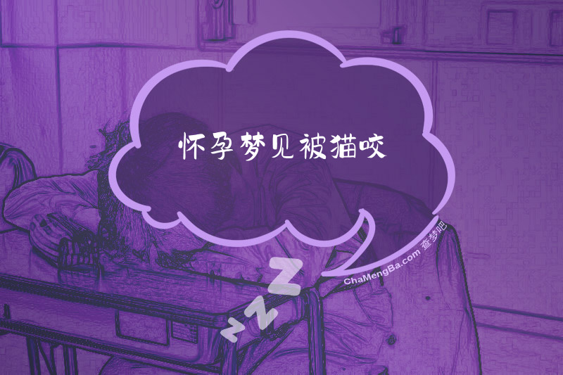 怀孕梦见被猫咬