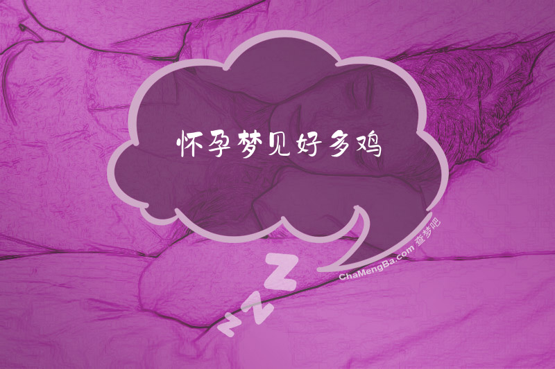 怀孕梦见好多鸡