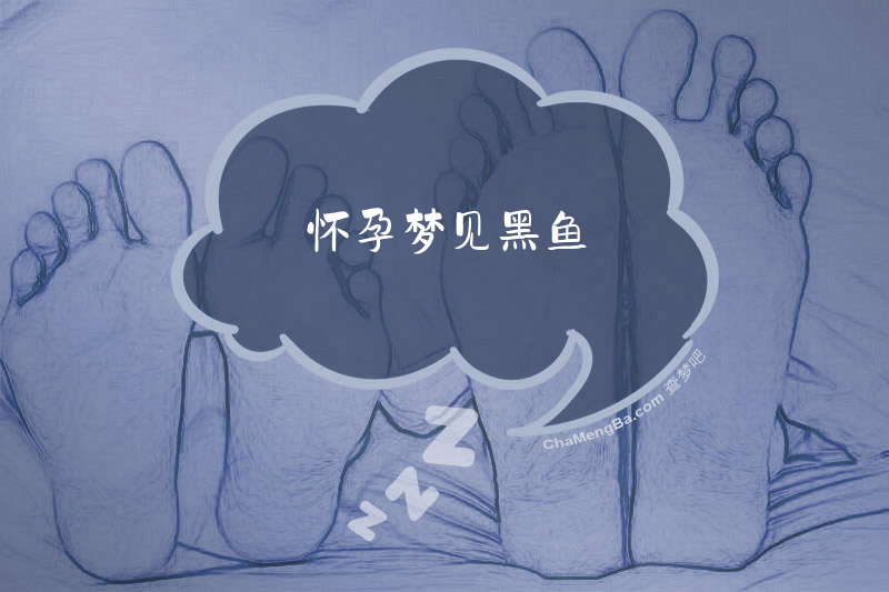 怀孕梦见黑鱼