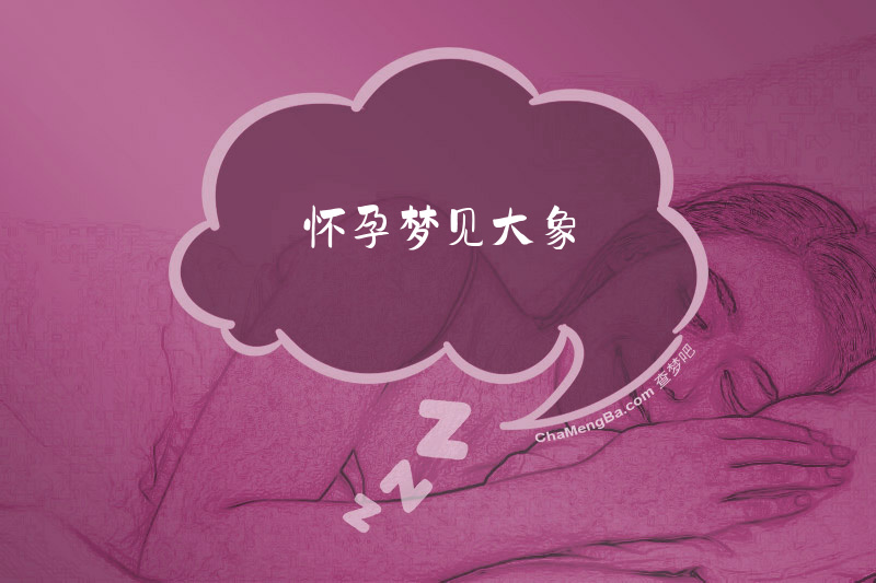 怀孕梦见大象