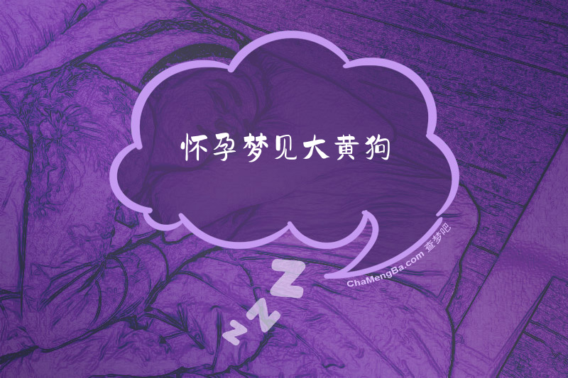 怀孕梦见大黄狗