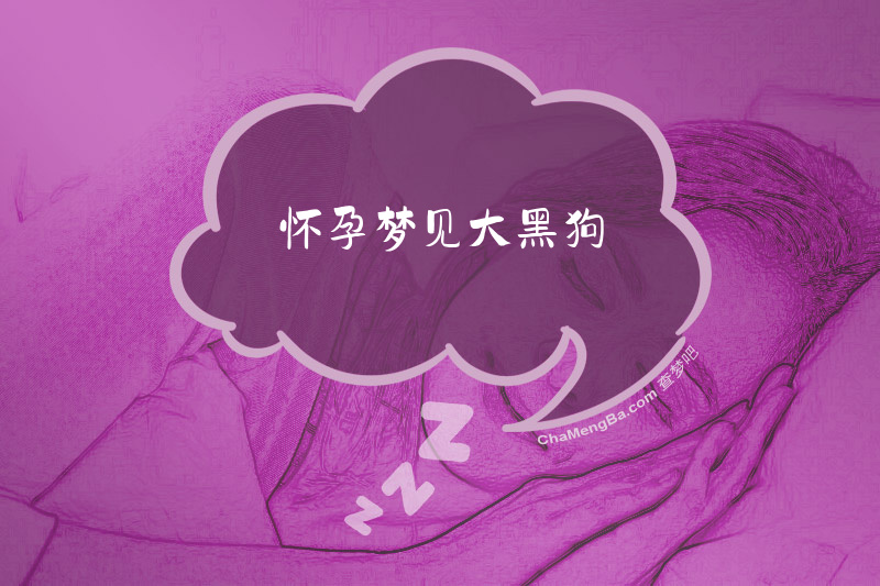 怀孕梦见大黑狗