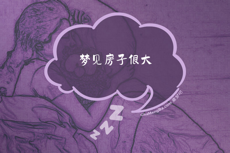 梦见房子很大