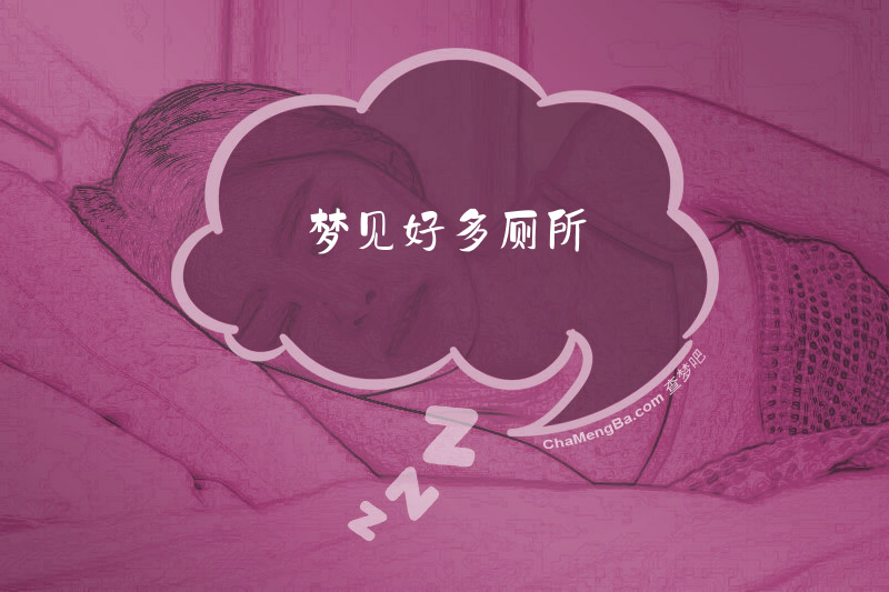 梦见好多厕所