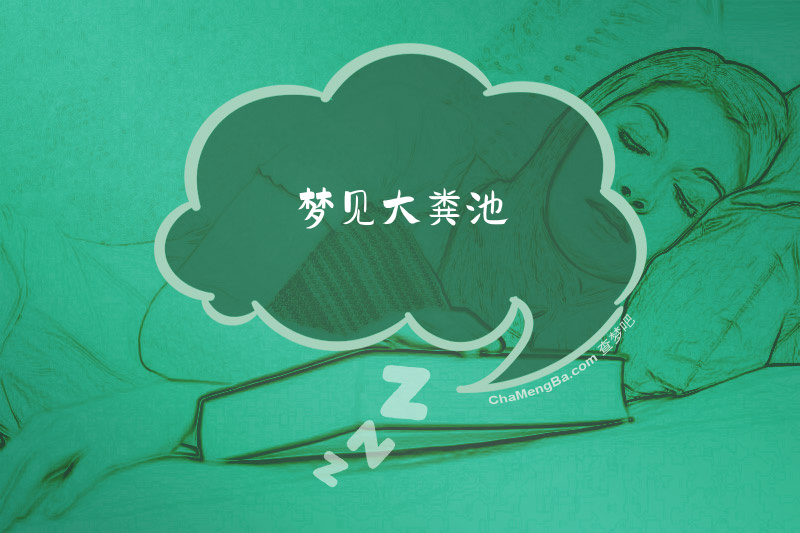梦见大粪池