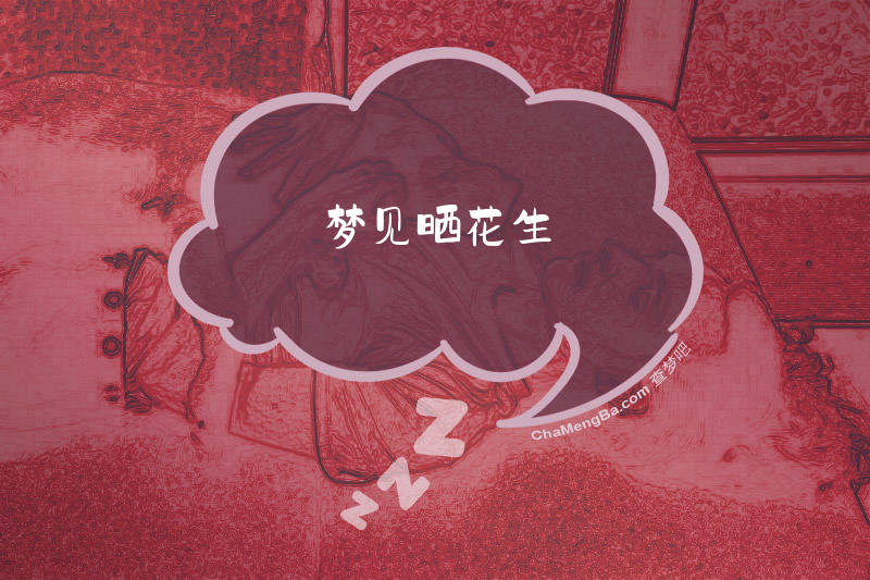 梦见晒花生