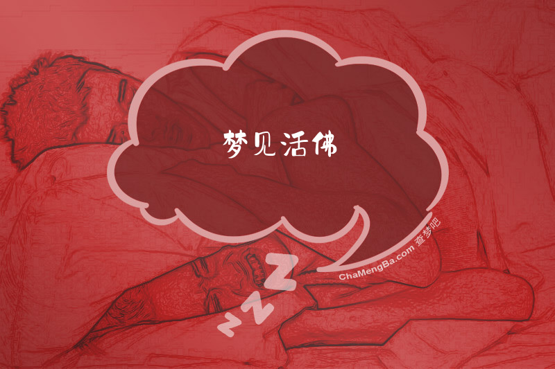梦见活佛