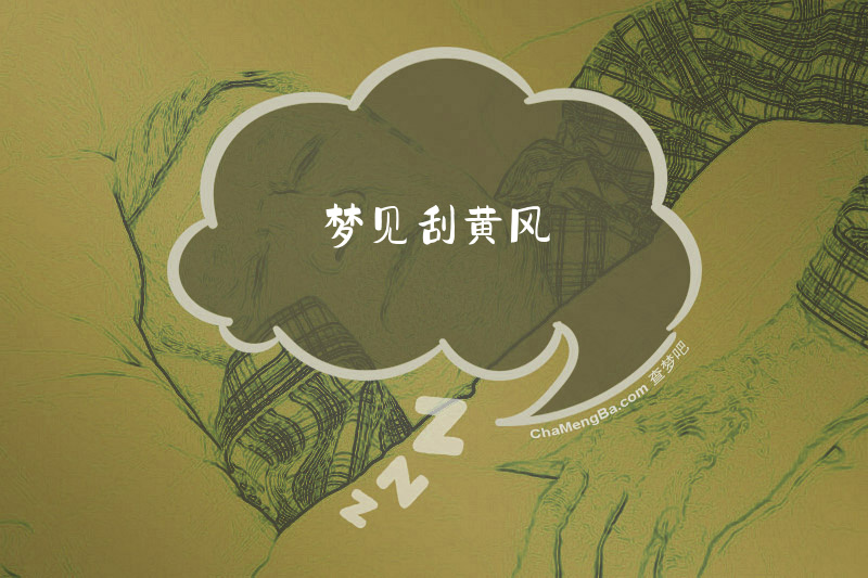 梦见刮黄风