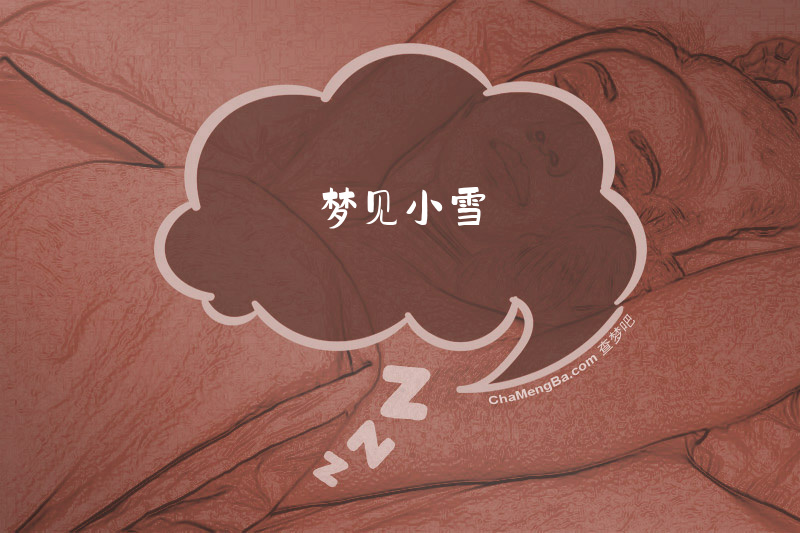 梦见小雪