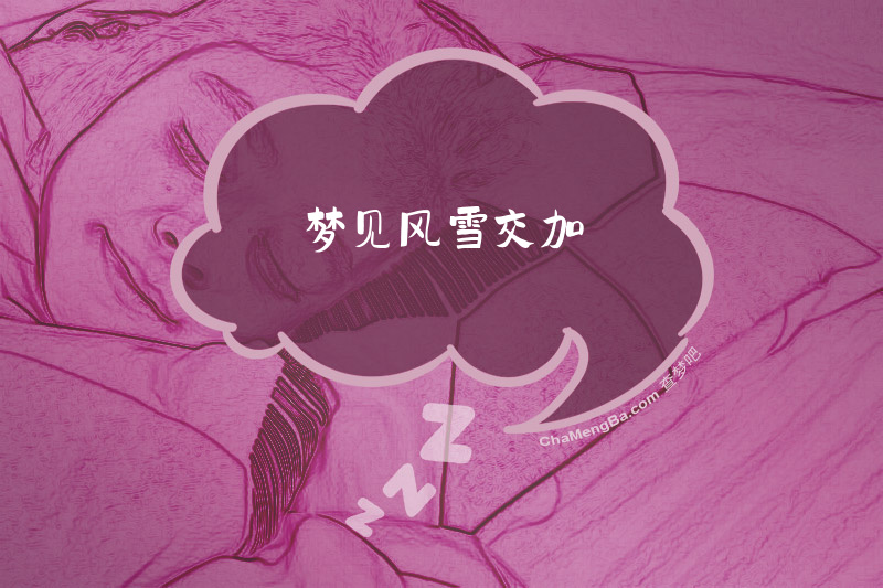 梦见风雪交加
