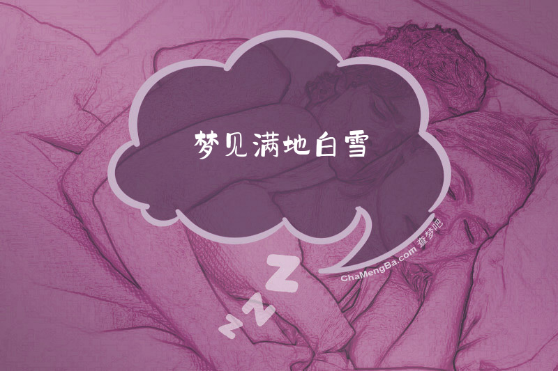 梦见满地白雪