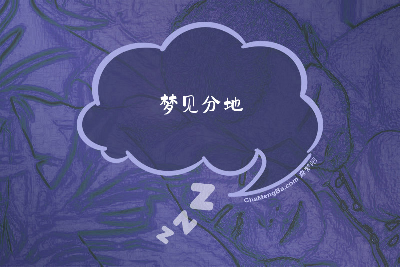 梦见分地
