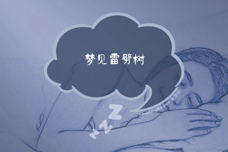梦见雷劈树