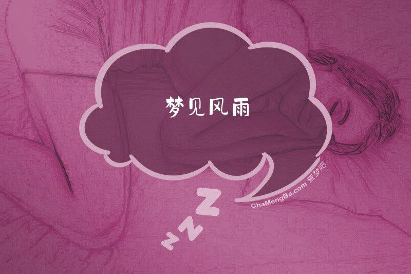梦见风雨