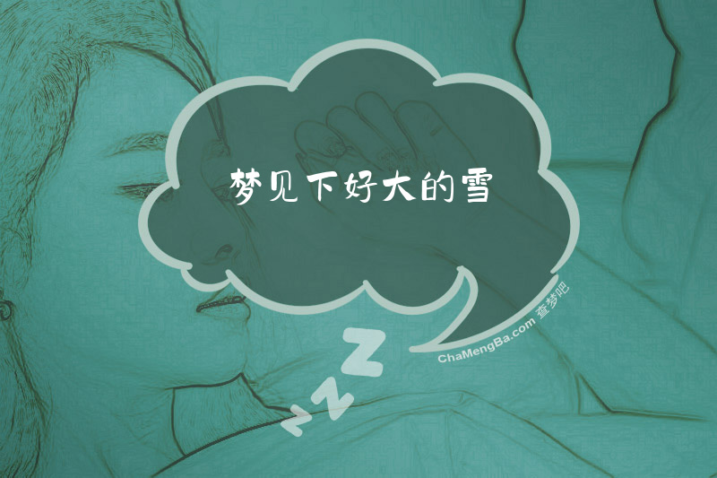 梦见下好大的雪
