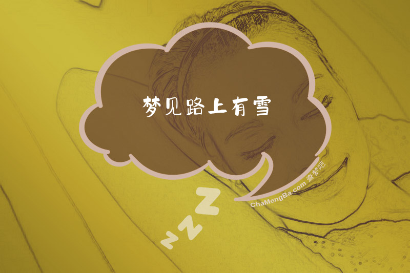 梦见路上有雪