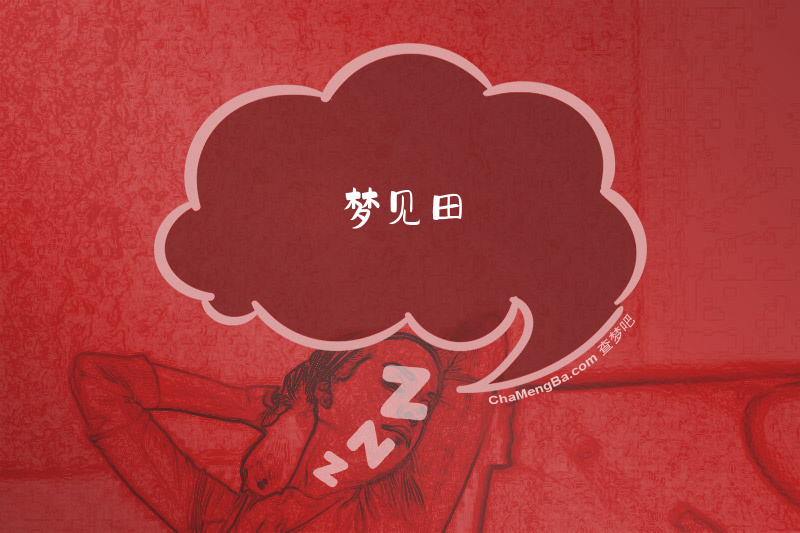梦见田