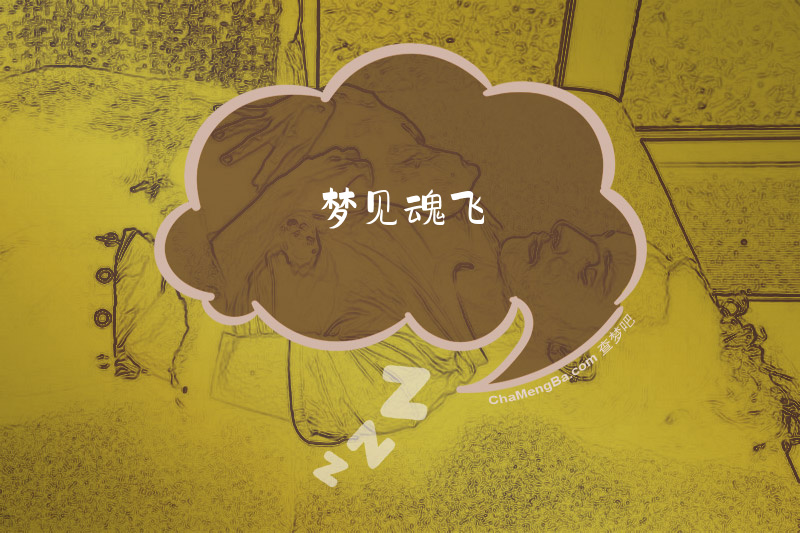 梦见魂飞