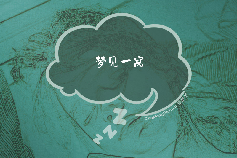 梦见一窝