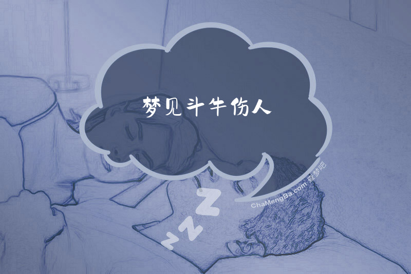 梦见斗牛伤人