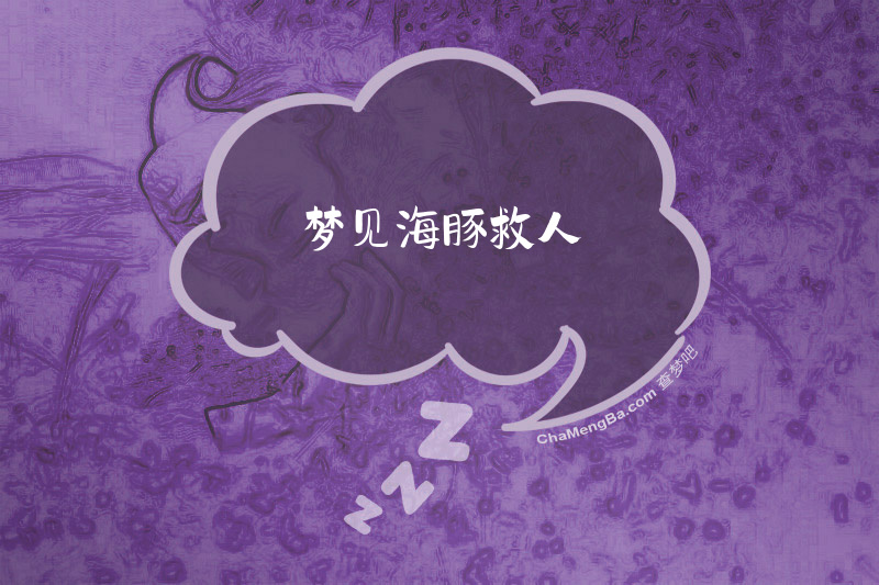 梦见海豚救人