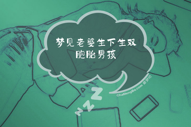 梦见老婆生下生双胞胎男孩