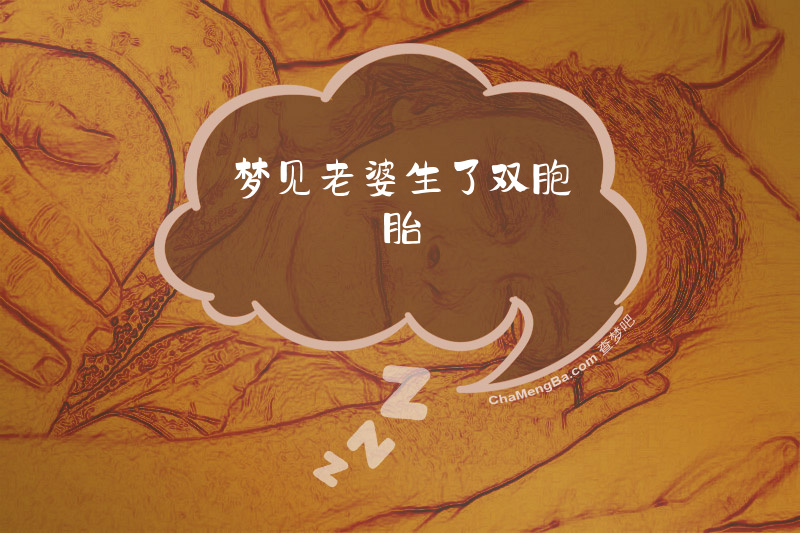 梦见老婆生了双胞胎