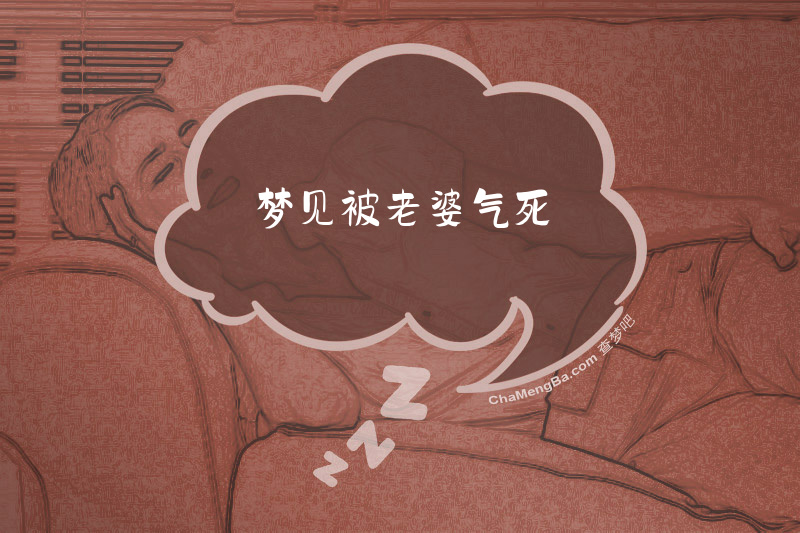 梦见被老婆气死
