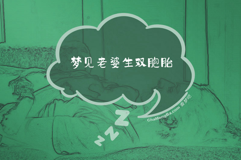 梦见老婆生双胞胎