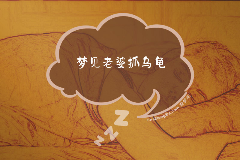 梦见老婆抓乌龟