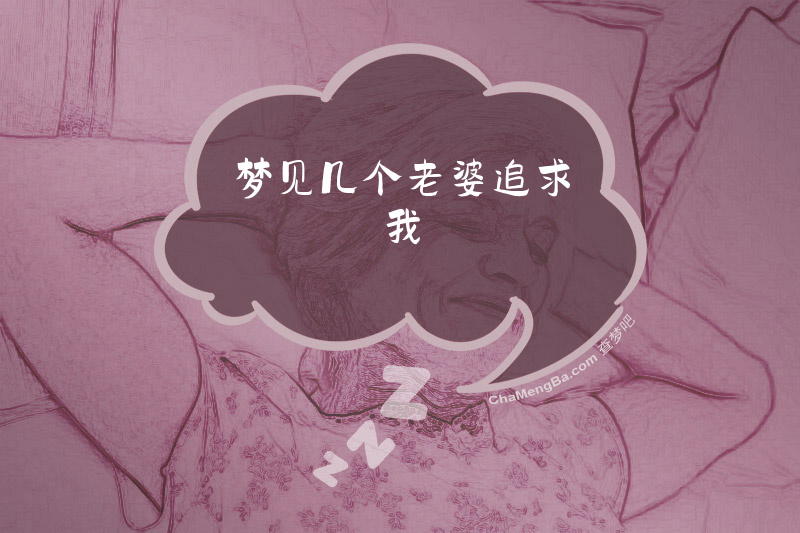 梦见几个老婆追求我