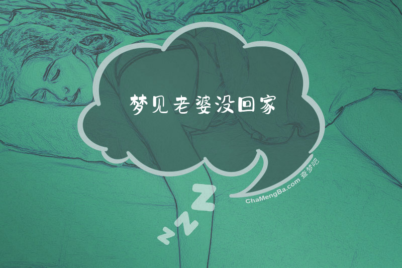 梦见老婆没回家