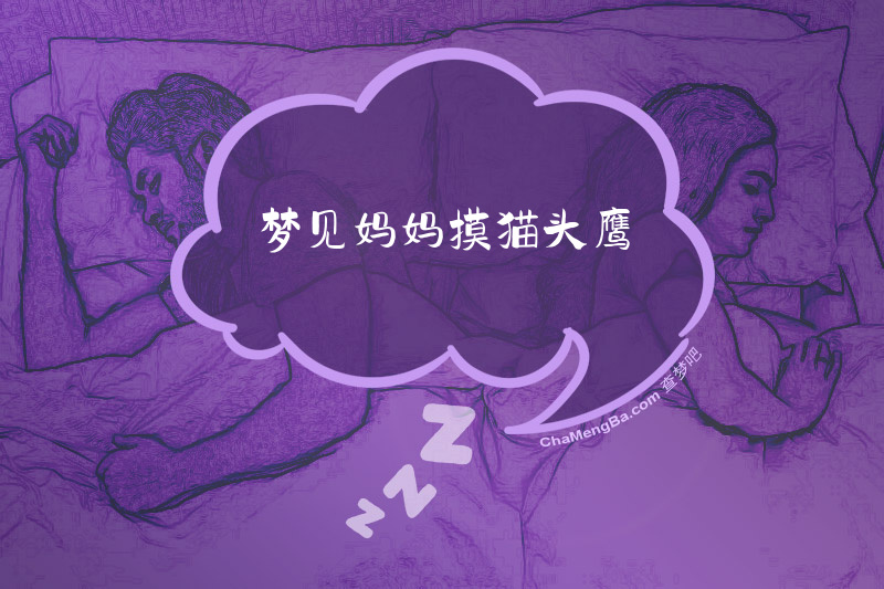 梦见妈妈摸猫头鹰