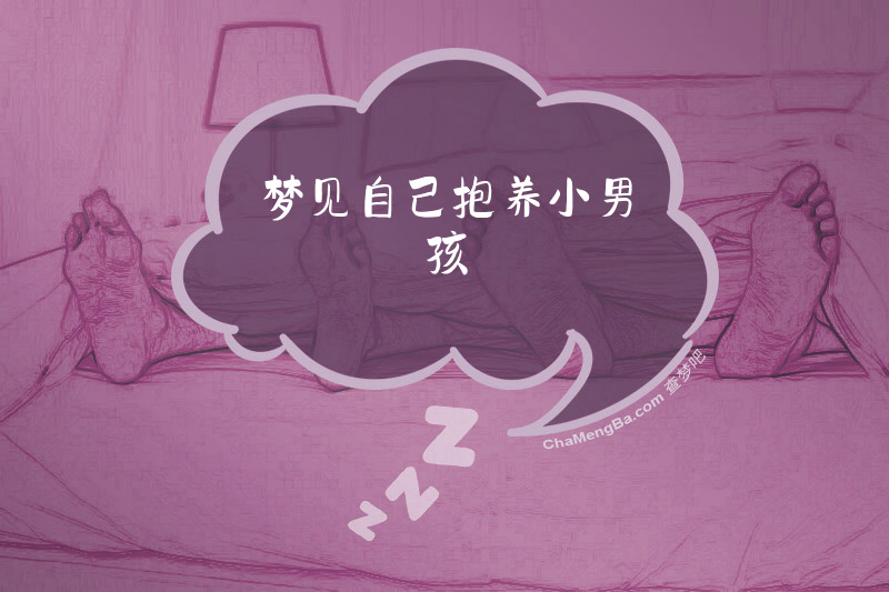 梦见自己抱养小男孩