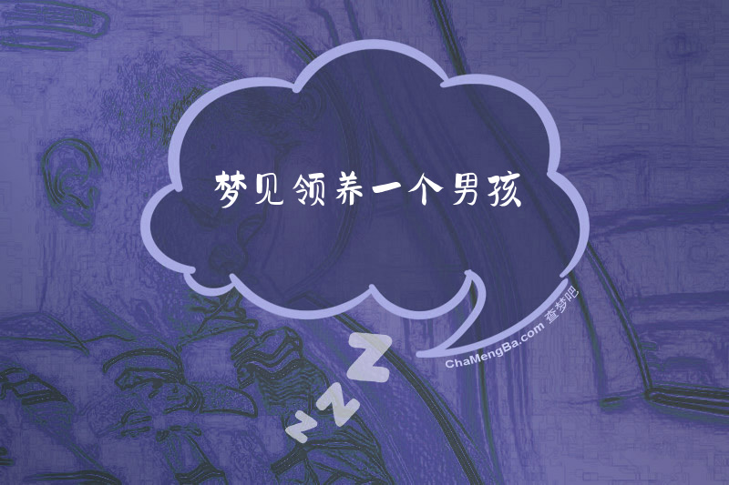 梦见领养一个男孩