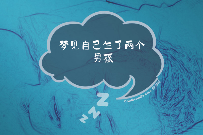梦见自己生了两个男孩