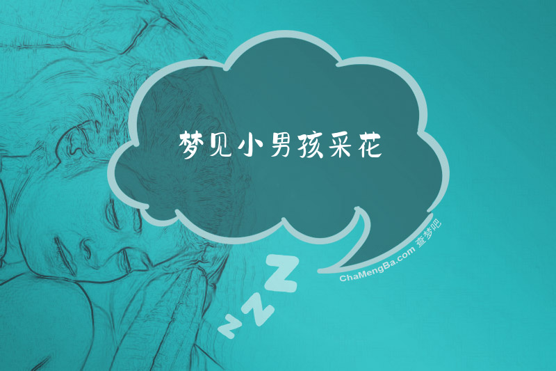 梦见小男孩采花