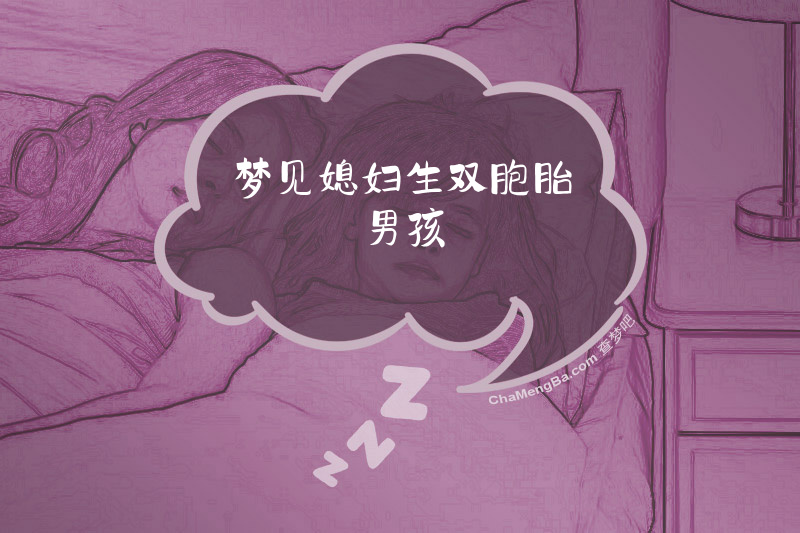 梦见媳妇生双胞胎男孩