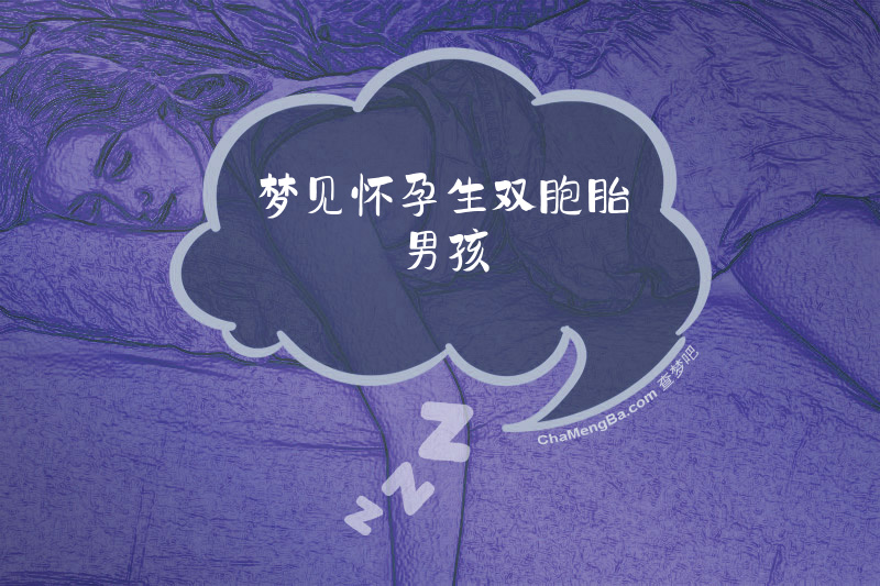 梦见怀孕生双胞胎男孩