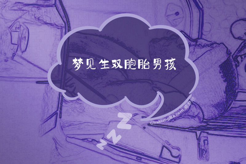 梦见生双胞胎男孩