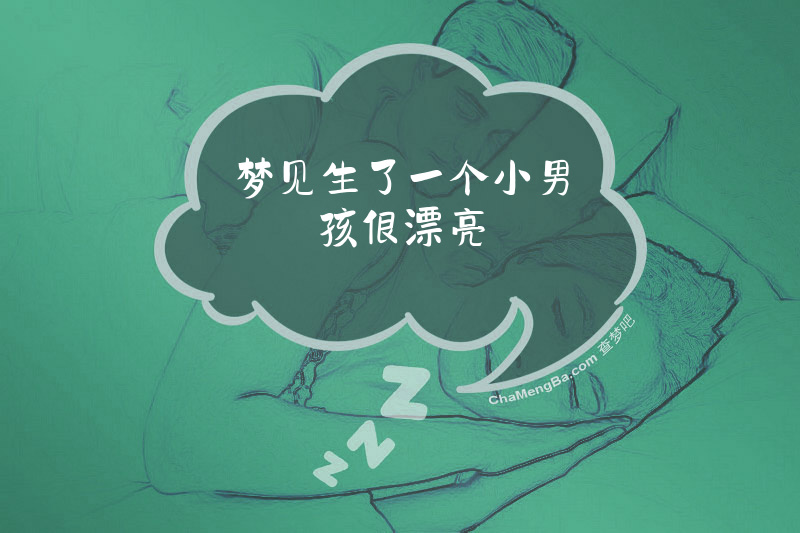 梦见生了一个小男孩很漂亮
