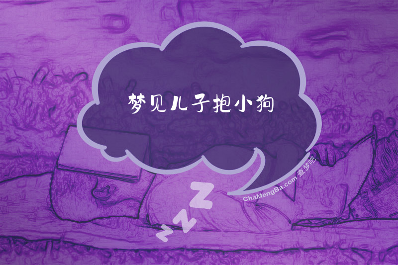 梦见儿子抱小狗