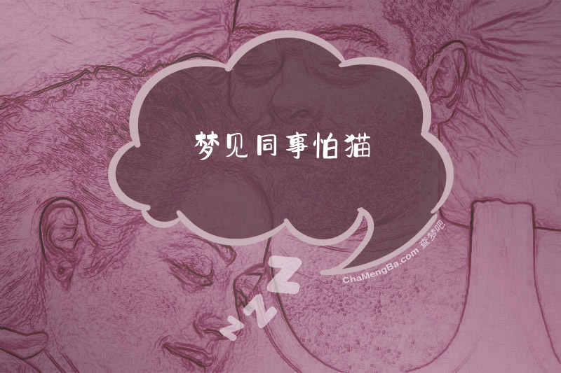梦见同事怕猫